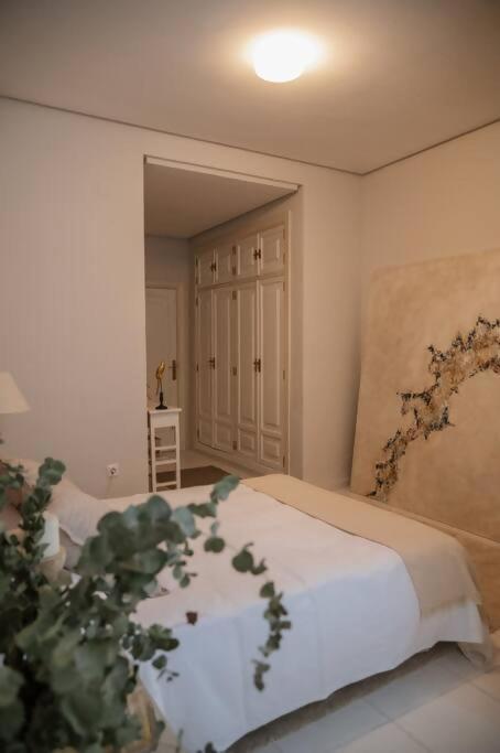 Casa Aguila Casco Antiguo Patio Privado Lejlighed Caces Eksteriør billede
